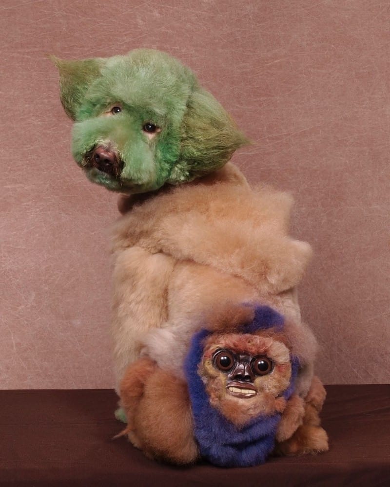 15 Amazing Examples Of Creative Dog Grooming - Page 7 of 7