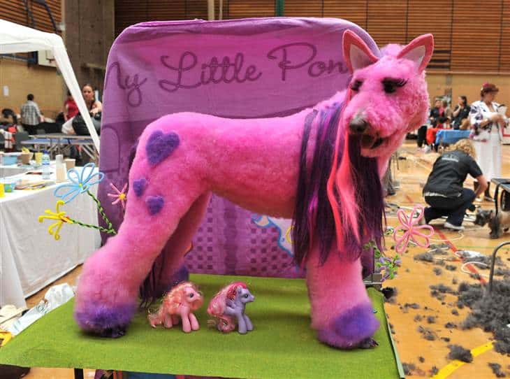 15 Amazing Examples Of Creative Dog Grooming Page 7 of 7