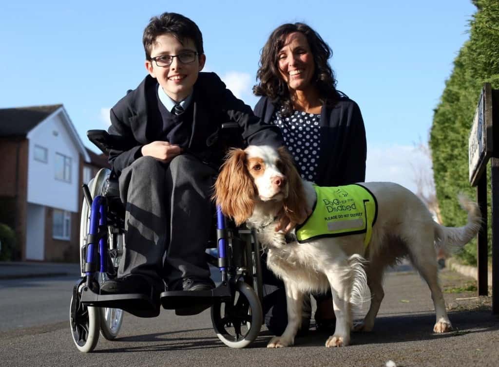 16 Ways A Dog Can Change Your Life