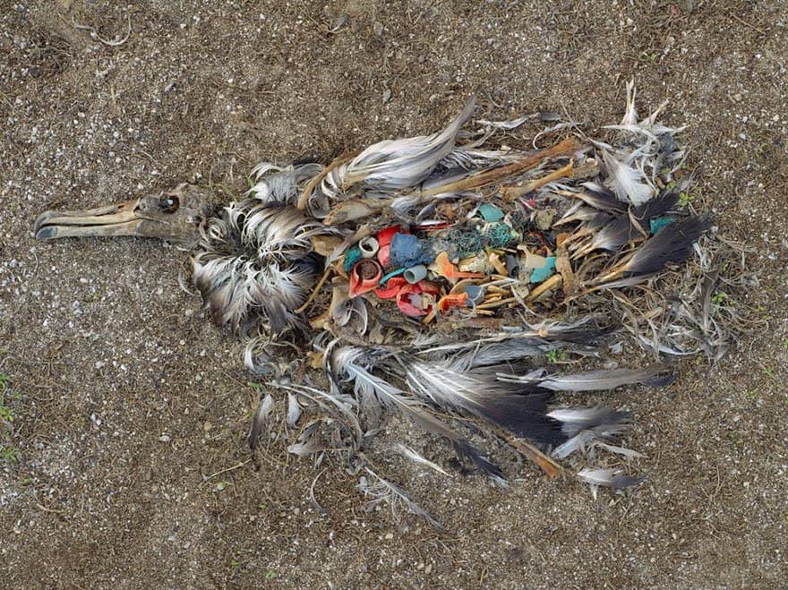 20 Shocking Photos Of Humans Slowly Destroying Planet Earth - Page 4 of 5