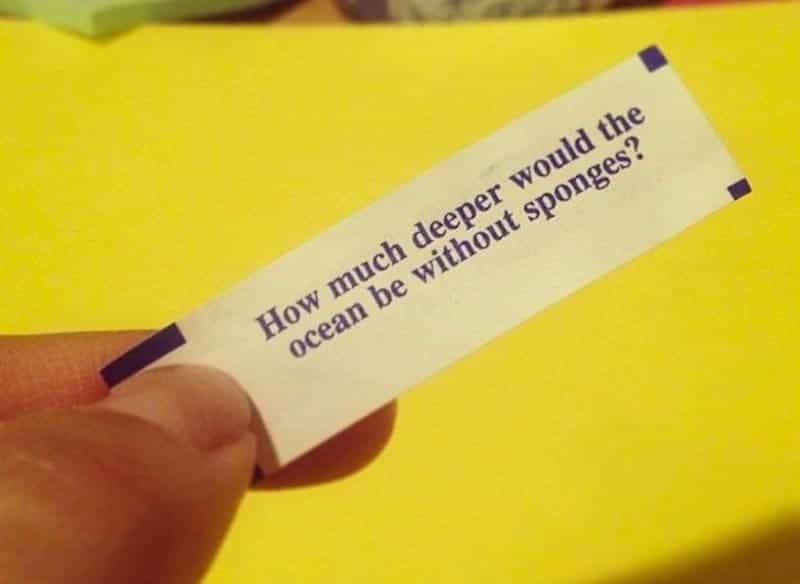 20 Funny Fortune Cookie Sayings To Crack You Up