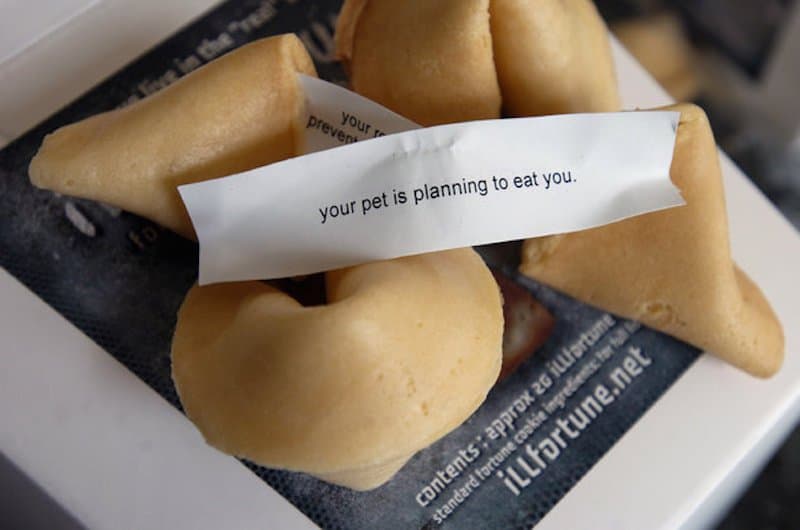 20-funny-fortune-cookie-sayings-to-crack-you-up.jpg