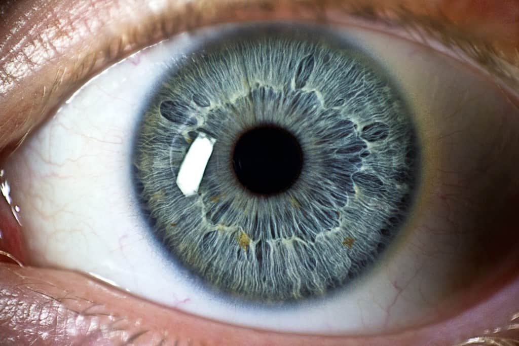 20 Interesting Facts About The Eyes