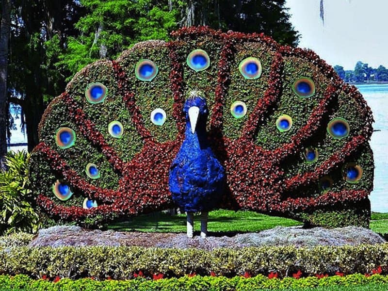 20 Intricate And Beautiful Topiary Sculptures