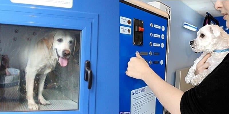 10 Bizarre Things That You Can Buy In Vending Machines