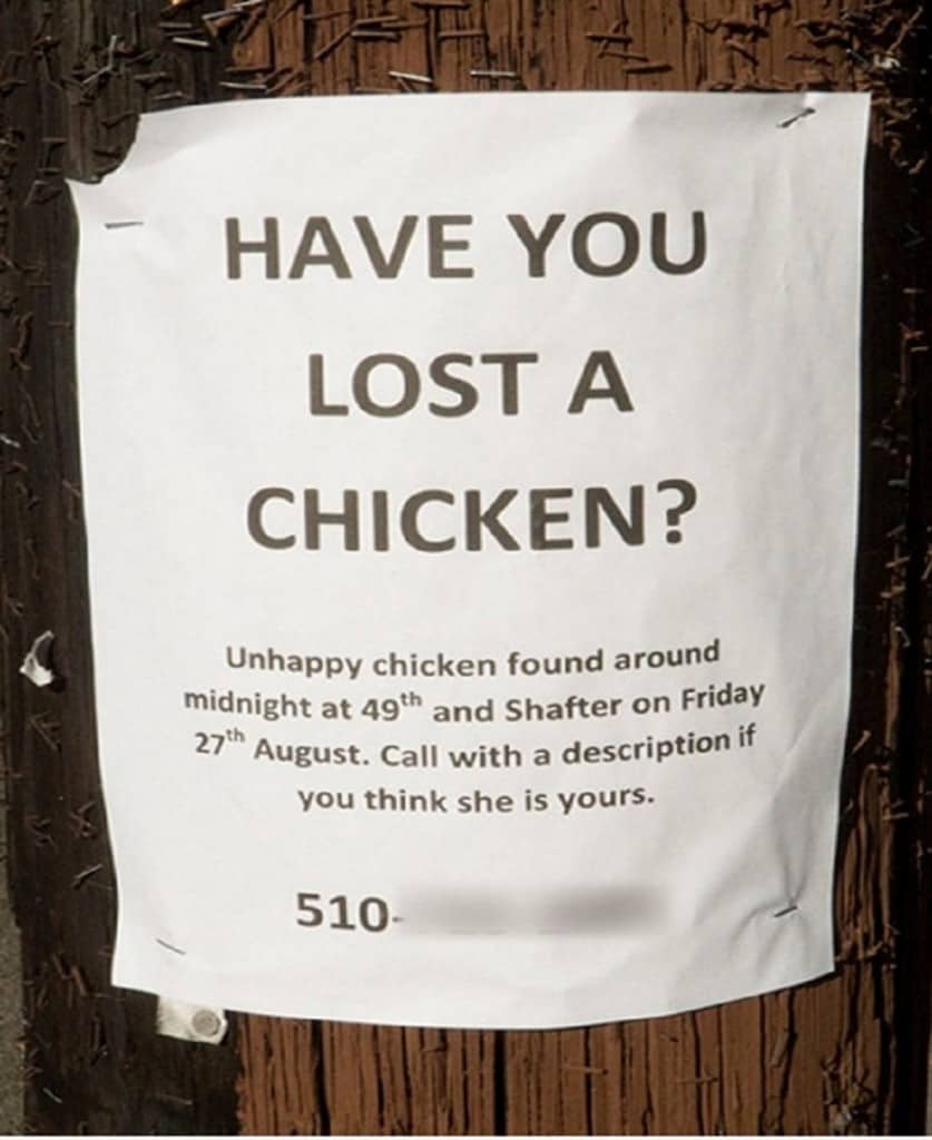 10 Hilarious Lost And Found Signs - Page 2 of 5