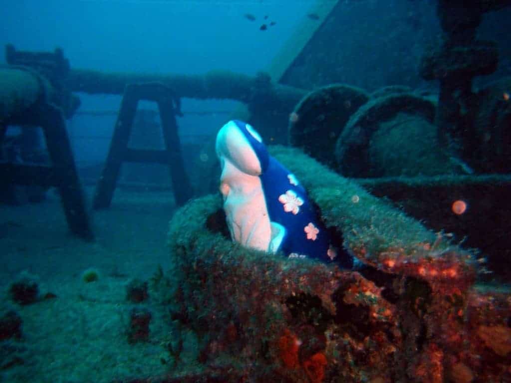 10 Sunken Ships Adventurists Need To Explore