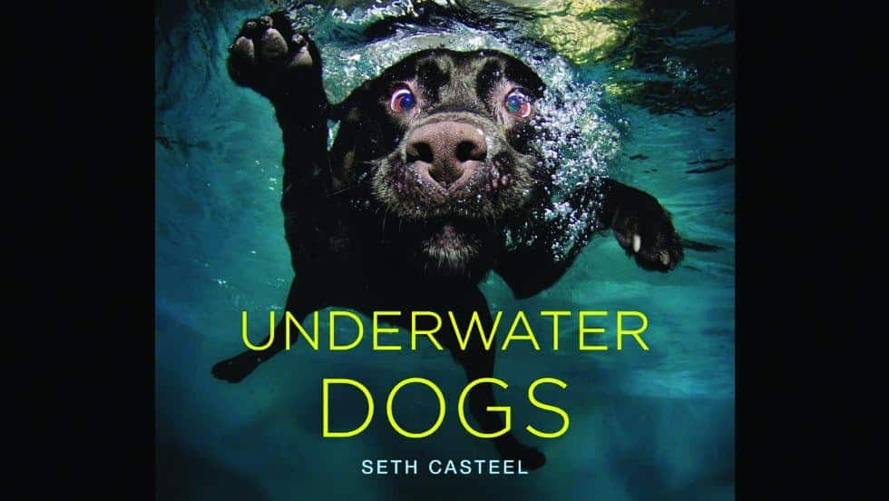 10 hilarious and weird coffee table books you should own 10 hilarious and weird coffee table books you should own