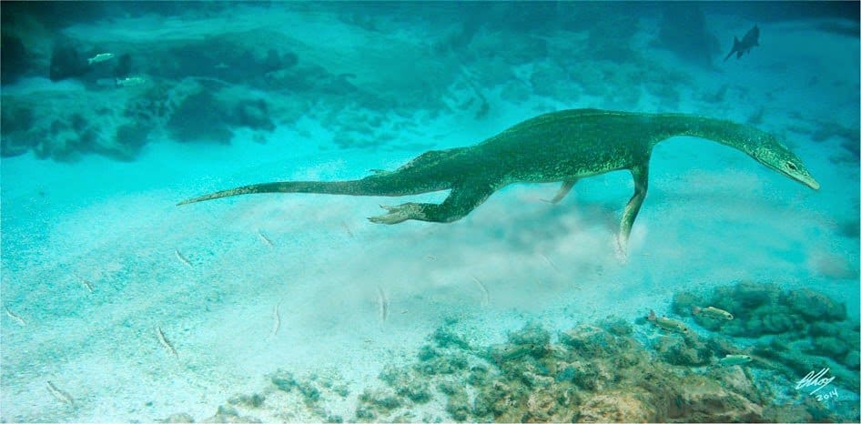 small prehistoric sea creatures