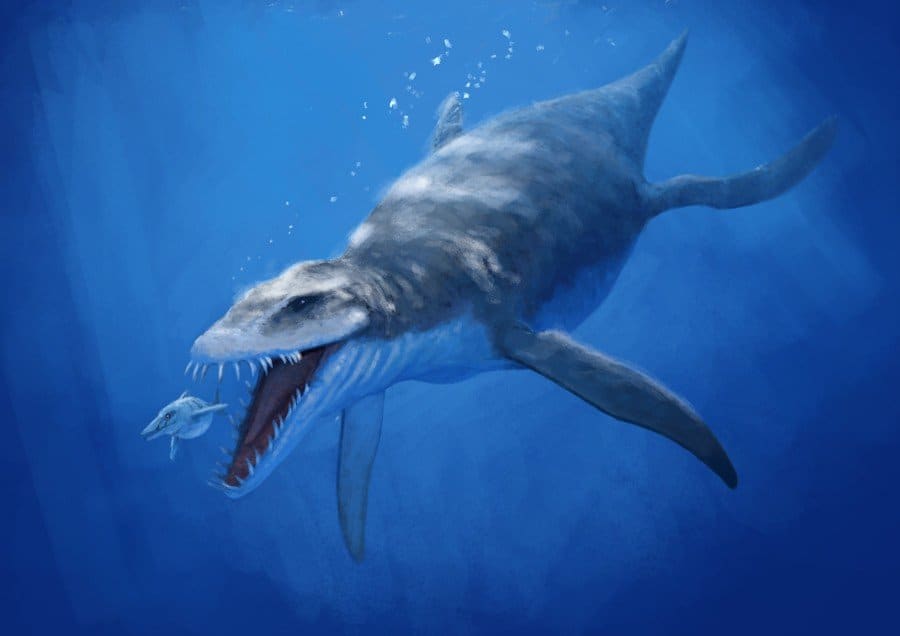 10 Prehistoric Sea Creatures We're Thankful Are Extinct - Page 4 of 5