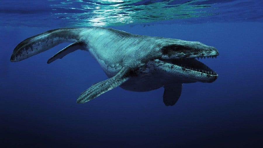 sea creatures from the dinosaur age