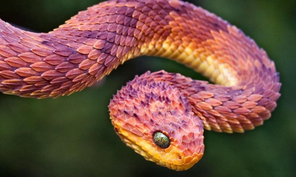 20 Reasons You Should Avoid Australia At All Costs - Page 3 of 5