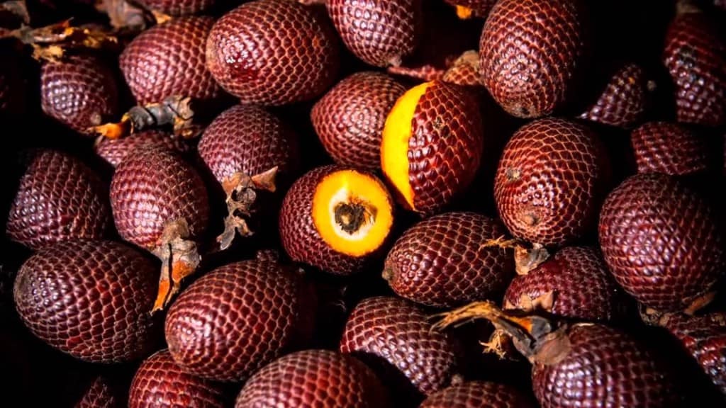 10 Of The Strangest Fruits In The World