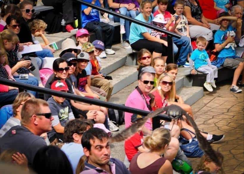 10 Pictures With Shocking Things Hiding In Plain Sight