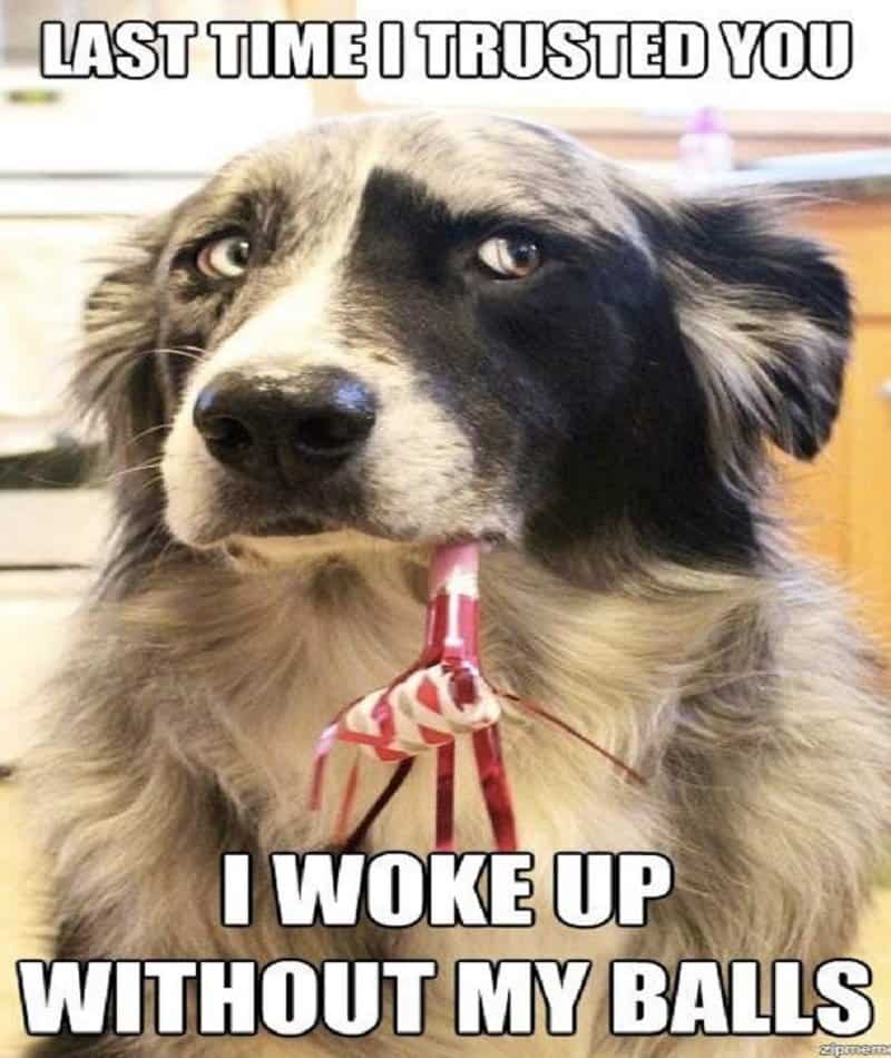 war dogs laugh financial meme wallpaper war dogs laugh financial meme wallpaper