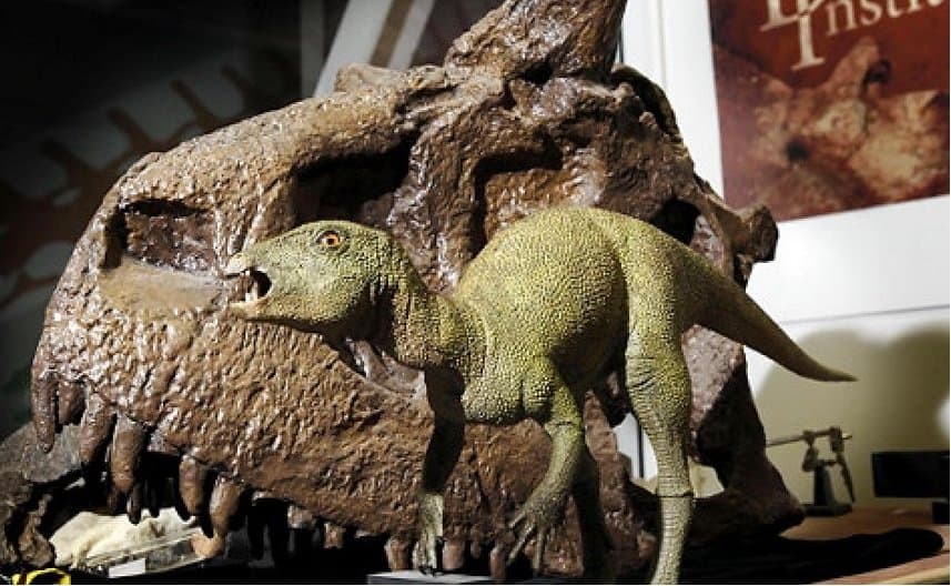 dinosaurs facts strange never knew dinosaur smallest tall lolwot