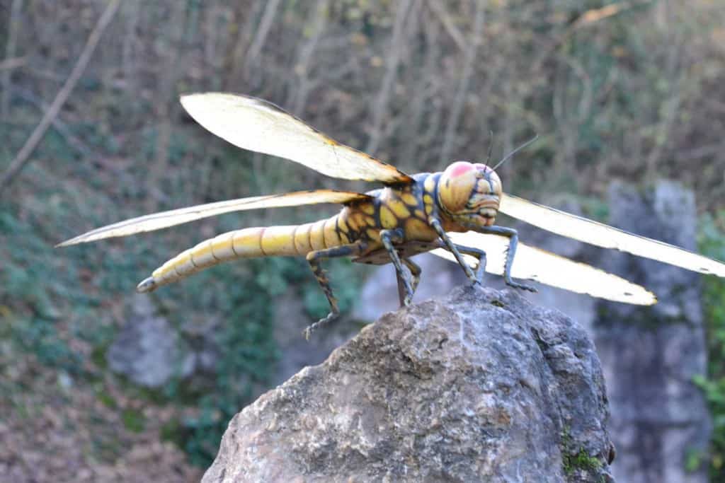 10 Terrifying Prehistoric Creatures That Are Thankfully Extinct - Page