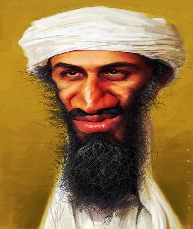 osama bin laden It sounds like a crazy conspiracy theory, but on the eighth anniversary of 9/11, a new book claims bin laden had nothing to do with the atrocity and died months afterwards. osama bin laden It sounds like a crazy conspiracy theory, but on the eighth anniversary of 9/11, a new book claims bin laden had nothing to do with the atrocity and died months afterwards.