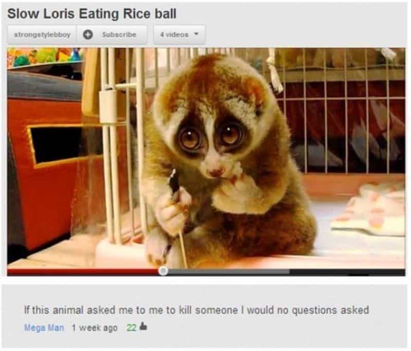 10 Of The Funniest YouTube Comments Ever